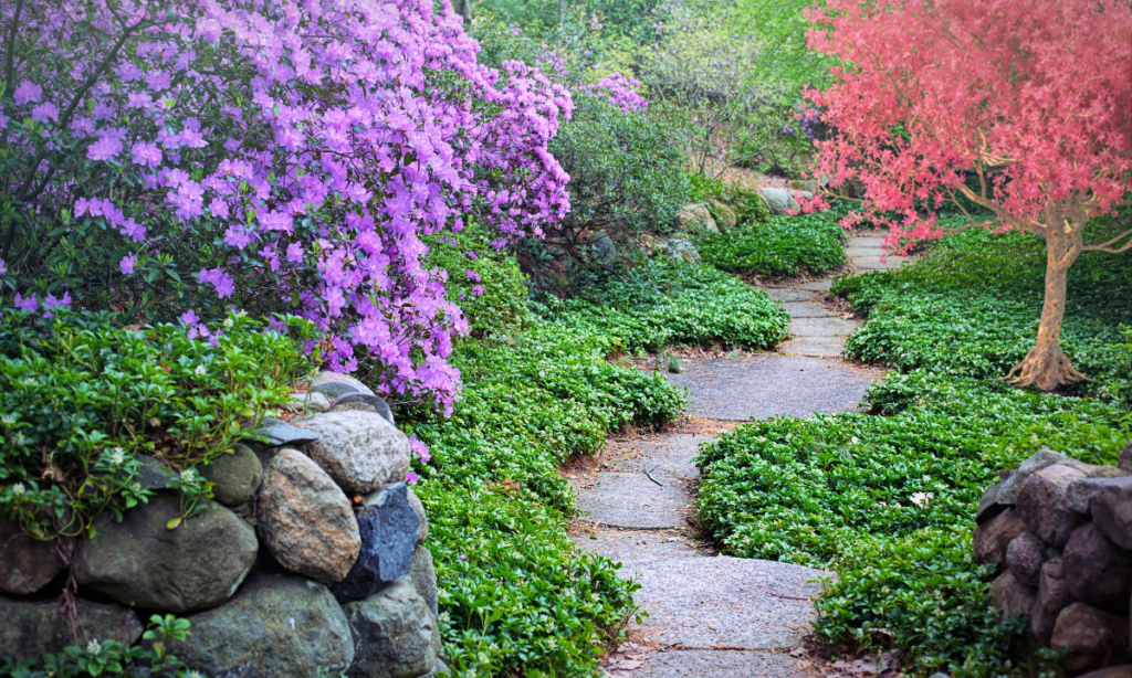 A Garden Path