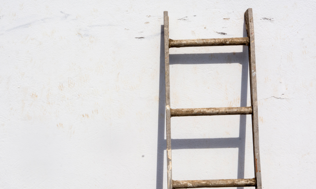 A Standard 10-Foot Ladder