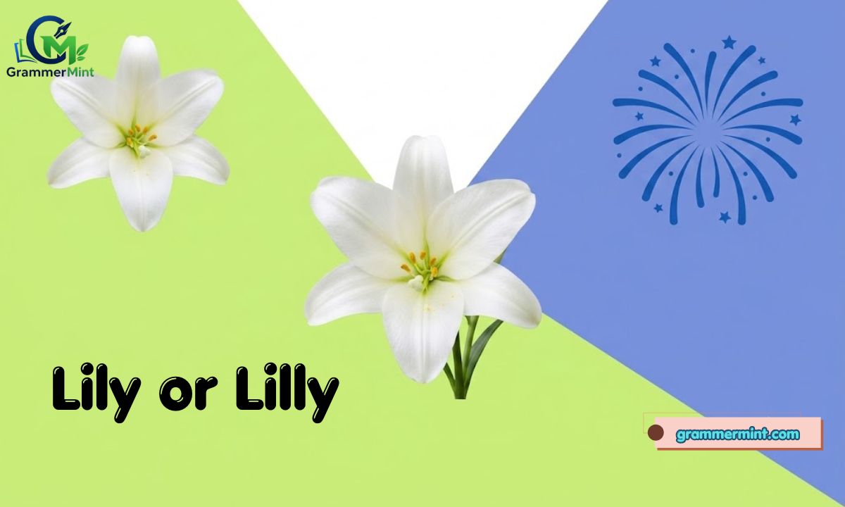 Lily or Lilly: What's the Difference? Meaning, Spelling and Usage 2026