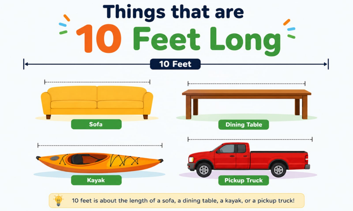 12 Common Things That Are 10 Feet Long: Everyday Examples